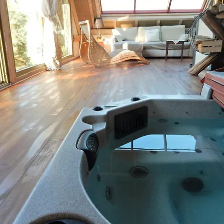 Loft With Jacuzzi And Sauna, Cleaning Included Holiday home Niderviller